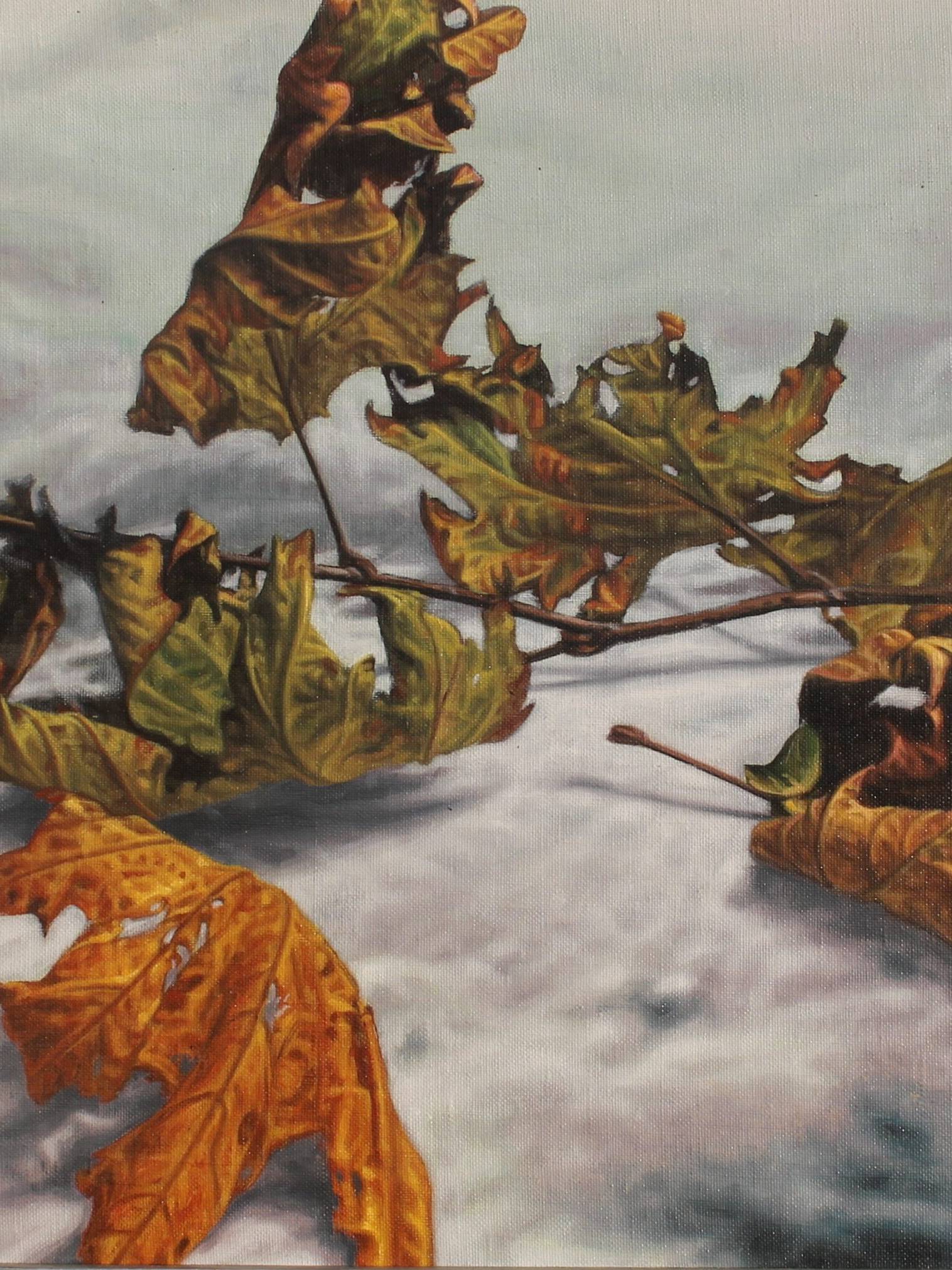 Mustafa Orkun Müftüoğlu